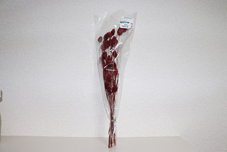 ドライフワラー